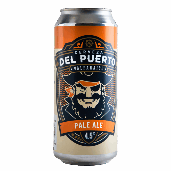 Del Puerto Pale Ale 12 Unidades 473cc
