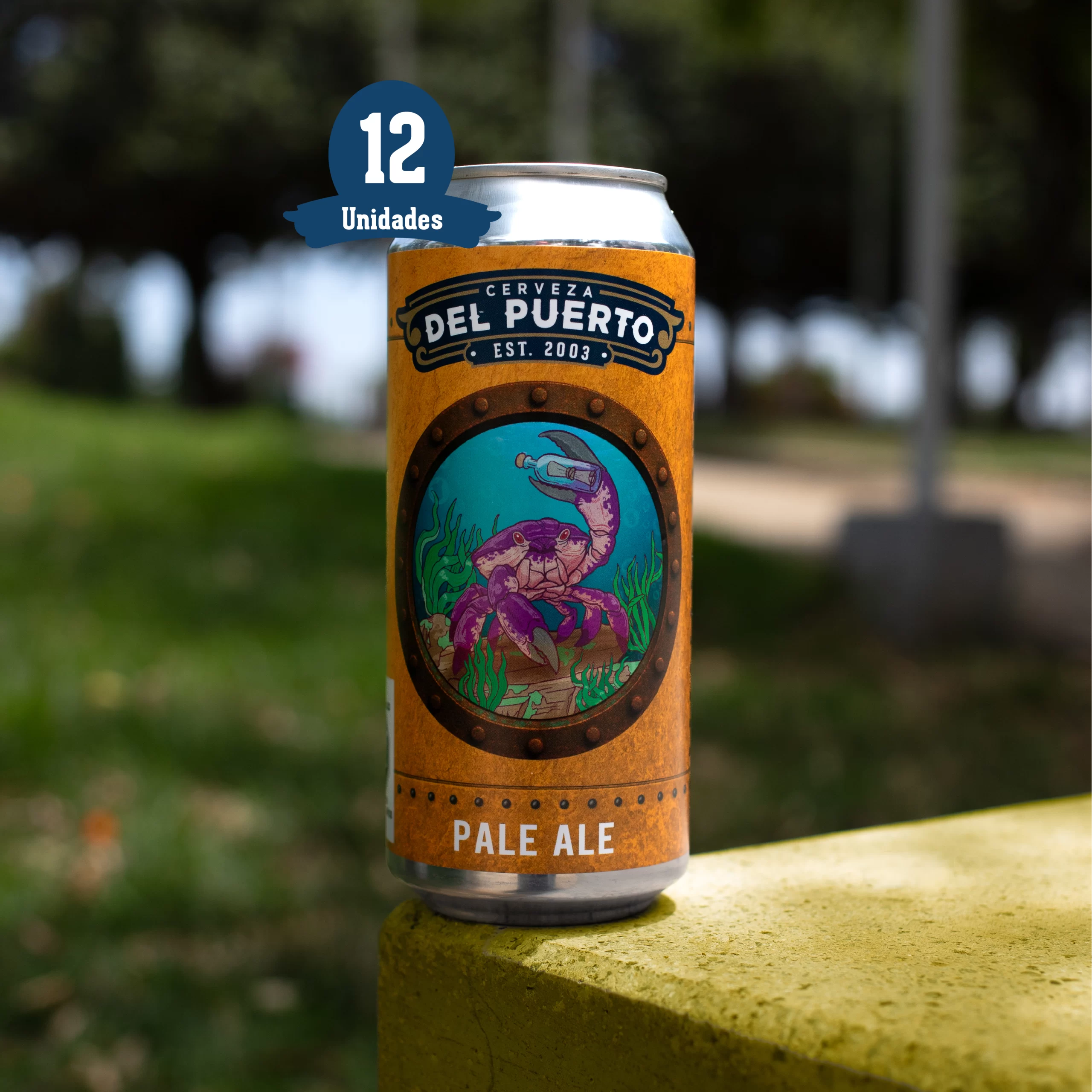 Del Puerto 12 Latas Pale Ale 473cc